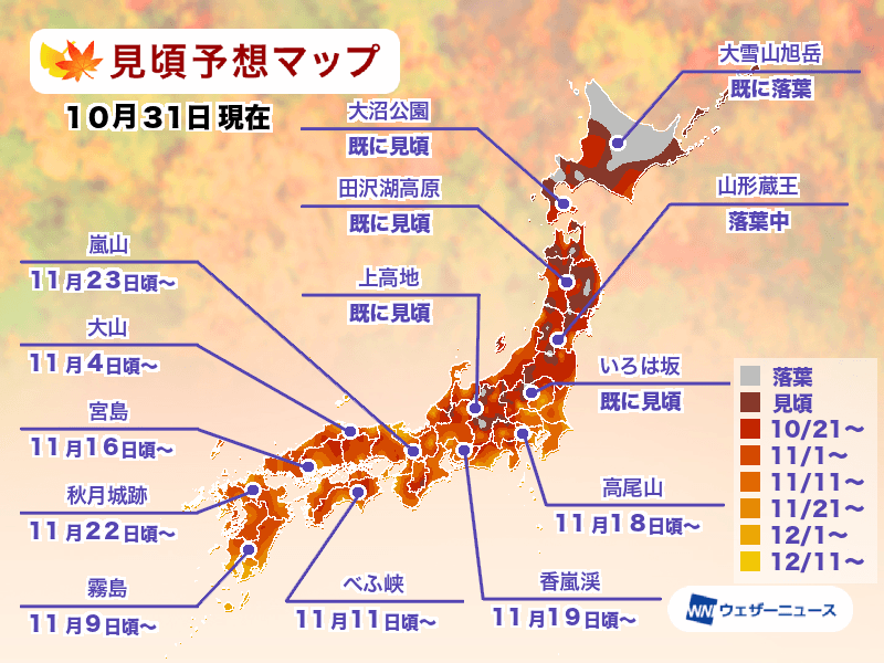 紅葉見頃予想2024　残暑で見頃時期が一部遅れる　高尾山は11月中旬から見頃へ