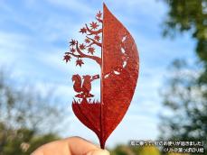 「葉っぱ切り絵」で芸術の秋を満喫！ 紅葉した葉っぱで作るコツは？