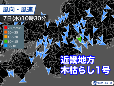 近畿地方で木枯らし1号　立冬に合わせて冬の便り