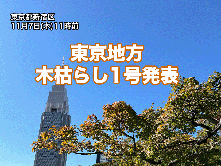 東京地方で木枯らし1号　昨年より1週間近く早い発表