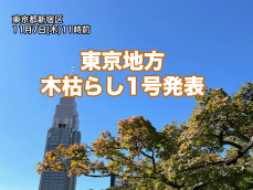 東京地方で木枯らし1号　昨年より1週間近く早い発表