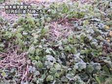 冷え込んだ朝　関東でも初氷・初霜を観測　真岡では0.1℃