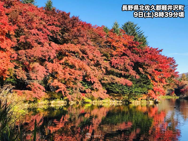 広い範囲で青空が広がる　東北南部や東日本は紅葉狩り日和に