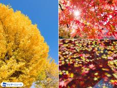 水野克比古氏監修　紅葉時期の写真撮影テクニック