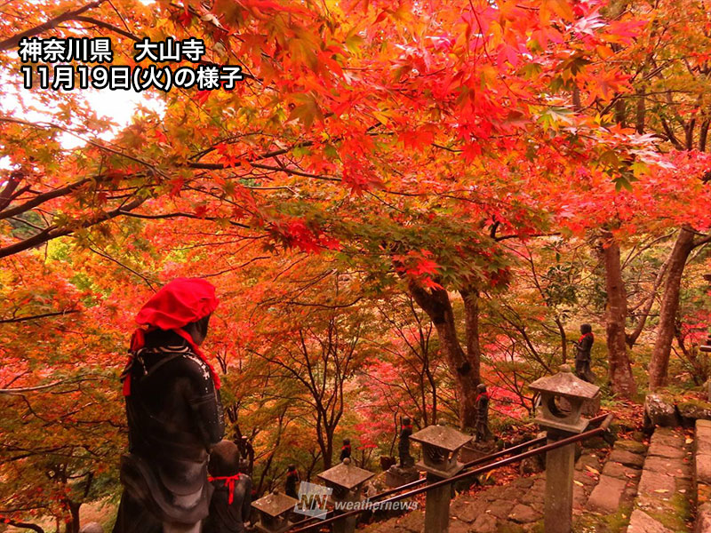 紅葉　今週末に見頃のスポット情報　関東は晴れて紅葉狩り日和に