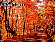 紅葉前線は西日本・東日本まで南下　見頃は平年よりも遅めに