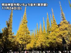 関東の青空に映える木々の彩り　紅葉前線は順調に南下