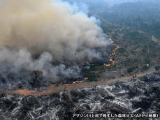 ブラジル アマゾン川で過去最悪の干ばつ 降水量0ミリの地域も