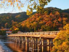 紅葉　今週末に見頃のスポット情報　京都の紅葉は最盛期