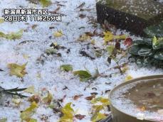 日本海側は断続的な強雨　霰(あられ)が積もっている所も