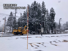 北陸や関東北部の山沿いで積雪　明日にかけ50cm以上積もる所も