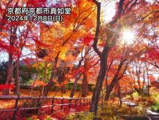 紅葉シーズンは終盤に　師走の空を彩る名残紅葉