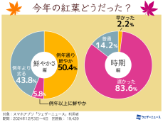 2024年の紅葉調査結果　秋の高温で色づき遅れる　鮮やかさにも影響