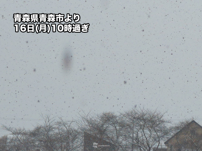 北日本や北陸山沿いで雪が強まる　北陸平野部は強雨や雷雨に注意