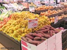 「お買い得になる」野菜は？ 1月の野菜予報