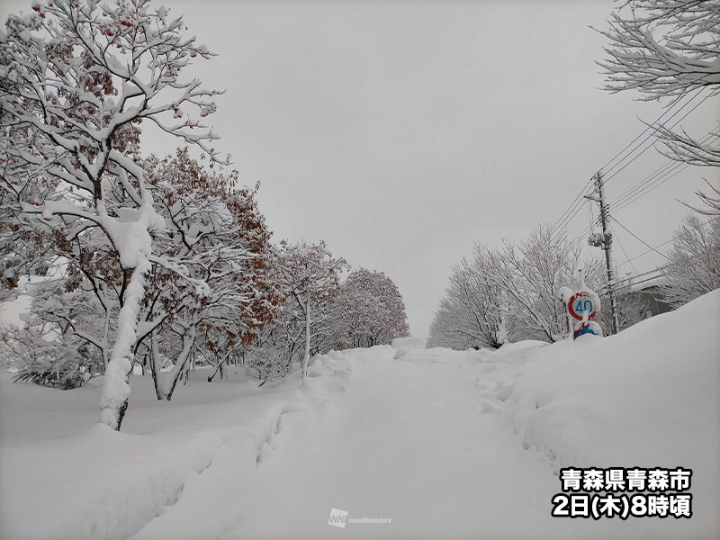 青森市はひと晩で20cm以上も積雪急増　断続的な強い雪に注意