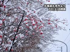 北海道の道東は昼頃まで湿った雪や吹雪　午後は日本海側で雪に