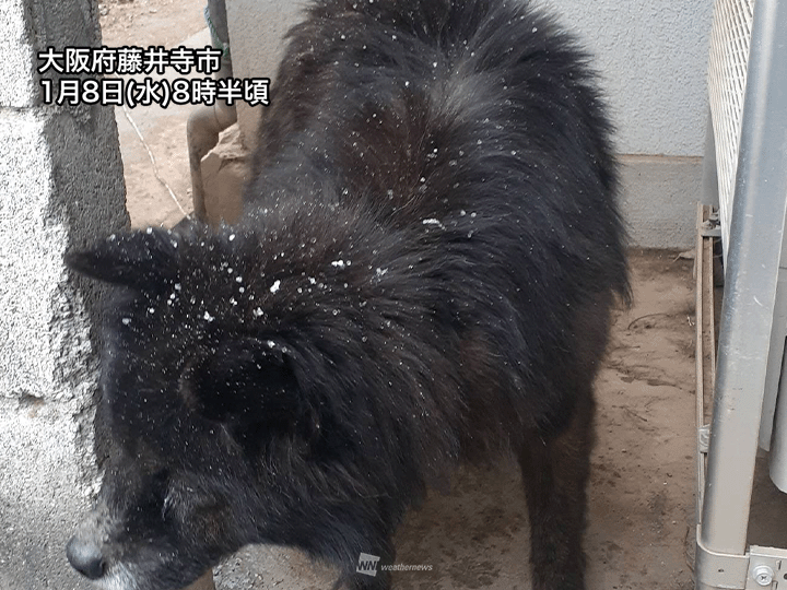 寒気強く西日本の各地で雪　大阪周辺にも雪雲が広がる