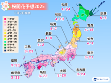 桜開花予想2025　全国トップは東京で3月21日　北日本は高温傾向で平年より早い