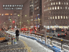 新潟は平野部でも強い雪　明日朝にかけて積雪はさらに増加