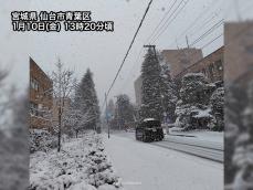 仙台市内で強い雪　積雪急増や吹雪に注意