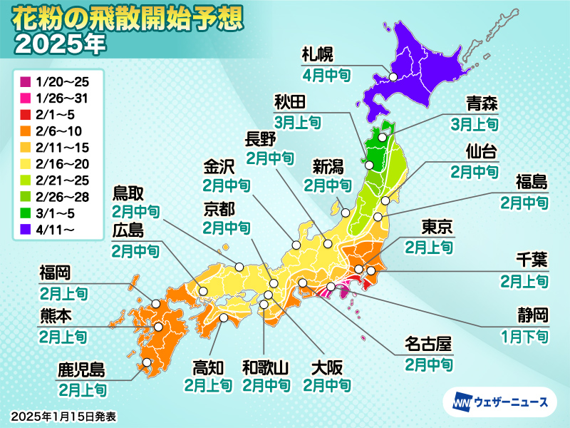 花粉飛散予想　飛散量は平年比1.5倍以上　すでに少量のスギ花粉が飛散