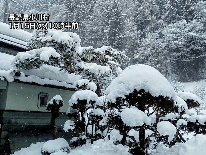 強い寒気が次第に南下　雪の範囲が平野部に広がり積雪が増加