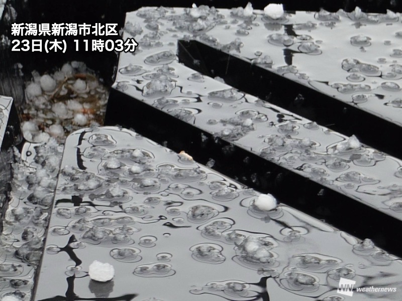 新潟市などで霰(あられ)や雷　午後も東北や北陸は局地的に雨雪強まる