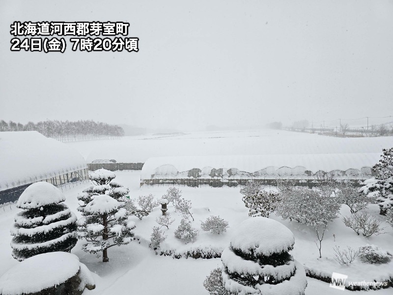 北海道・道東で本降りの雪　太平洋側では今季一番の積雪に