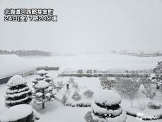 北海道・道東で本降りの雪　太平洋側では今季一番の積雪に