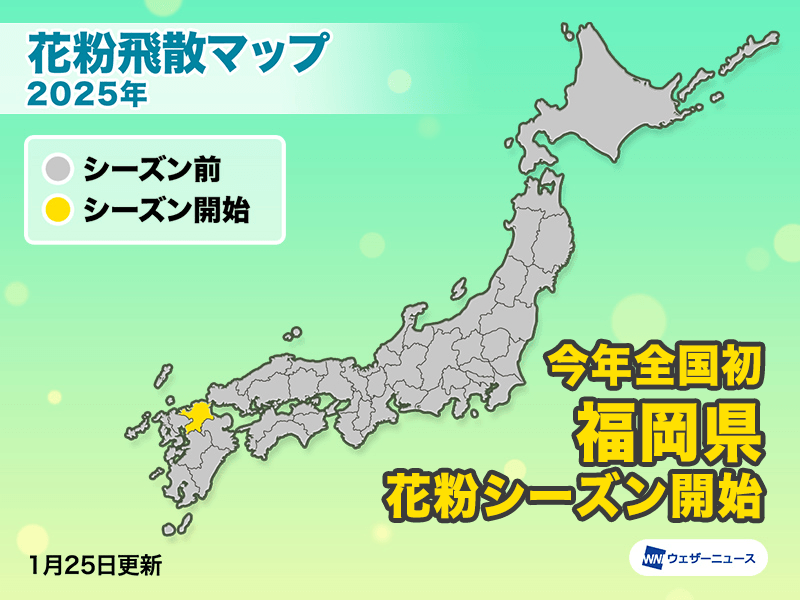 今年全国初　福岡県でスギ花粉飛散開始　2月中旬から本格化