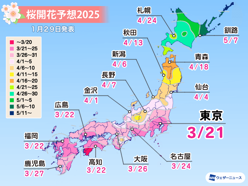 桜開花予想2025　3月21日の東京からスタート　春の高温傾向で開花が早まる地域も