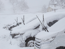 雪対策に車のワイパーを立てる4つの理由