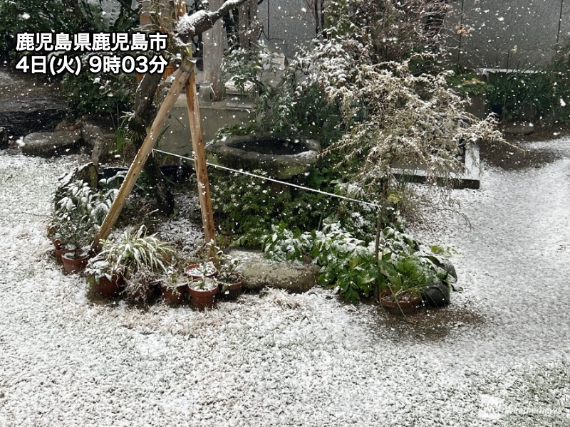 最強寒波で西日本の広範囲で雪　鹿児島市内でも積雪