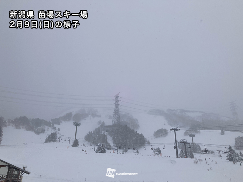 明日2月11日(火)のスキー場の天気・積雪　大雪で積雪増加　「建国記念の日」はGoodコンディション