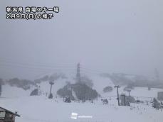 明日2月11日(火)のスキー場の天気・積雪　大雪で積雪増加　「建国記念の日」はGoodコンディション