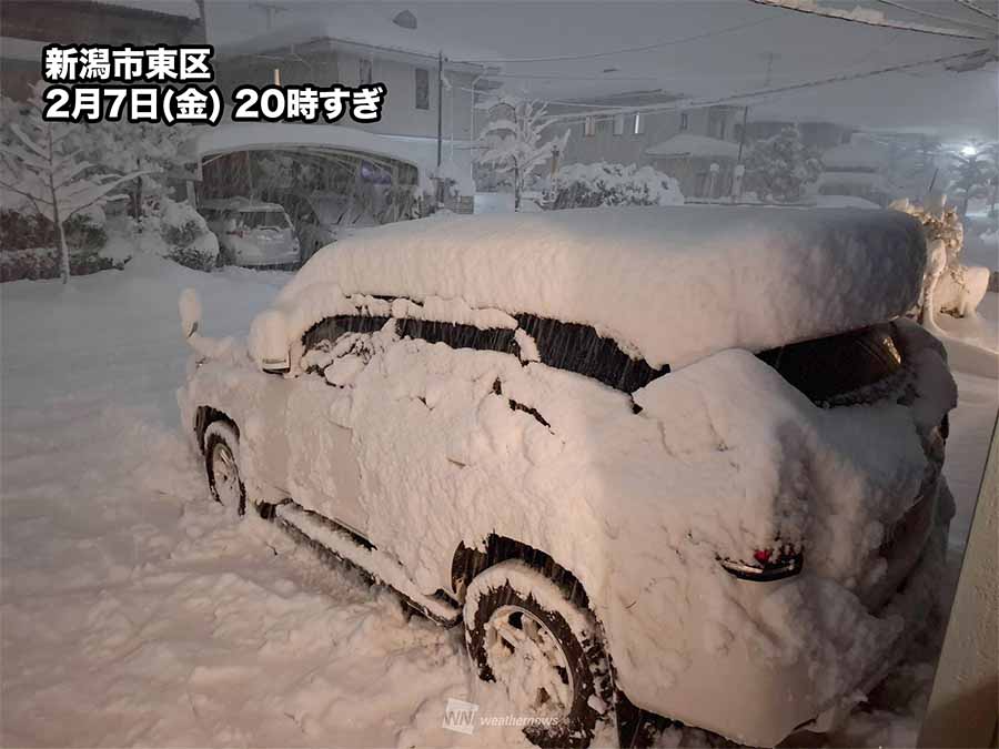 新潟市で強い雪　気象台が「顕著な大雪に関する気象情報」発表