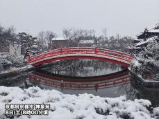 雪降りしきる古都　美しい銀世界が広がる