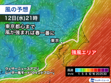 明日の関東は沿岸部で南風が強まる　強風エリア広がれば春一番も