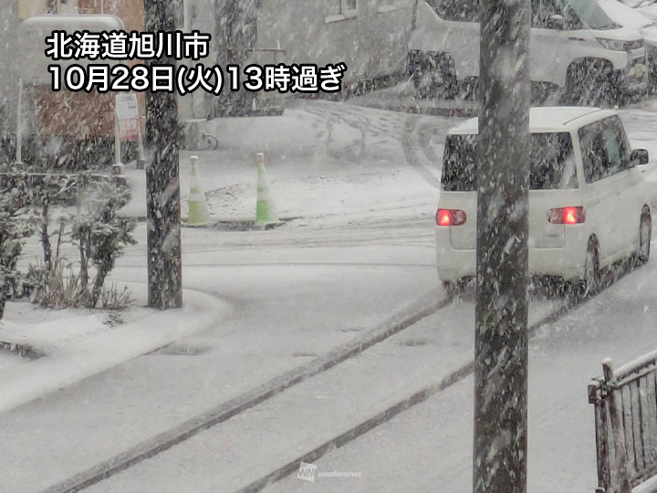 旭川で今季初の積雪を観測 10月に1cm以上の積雪は8年ぶり｜Infoseek