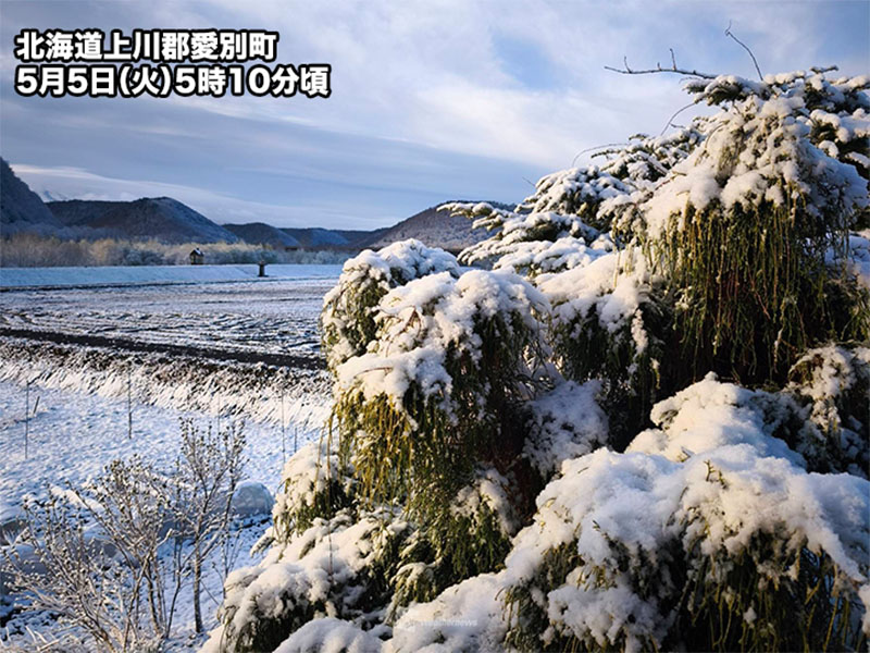 昨夜の雪で北海道では最大11cmの積雪を観測 今日の昼間は気温上昇