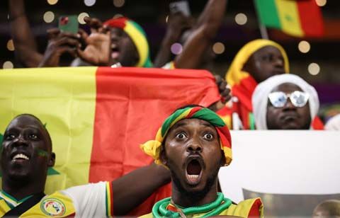 「試合見えてるのかな」「ずっとつけてたわけじゃないよね？」セネガルのスタンドに現れた“ライオン”に日本のファンも大注目「めっちゃリアル」