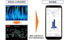 NTTドコモとアクアフュージョン、スマート水産業分野で業務提携