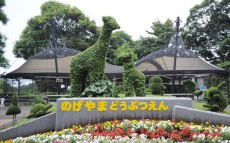 無料で動物が見れちゃう？　「野毛山動物園」に行こう！