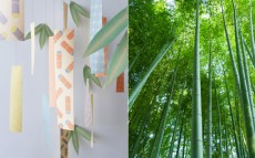 日本の竹でつくられた「竹紙」の七夕短冊が、子どもたちの未来をつくる 
