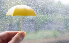 絵本ランキング Vol.13「雨がふると喜ぶのはだあれ？　梅雨にぴったりのおすすめ絵本」