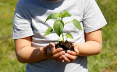 ガーデンニングママにおすすめ　除草剤の使い分けでできる頑張らない草取り