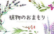 残暑のくすみを一掃！　即効“透明感”のつくり方【植物のおまもり Vol.10】