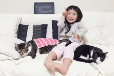 【いぬねこ うちのこ。】ちびマメちゃん（6歳） と猫のマメとゴマ／korokoronyaさん