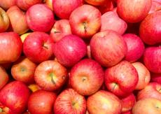 りんごの栄養は加熱しても消えない！　正しい食べ方で効果を実感しよう